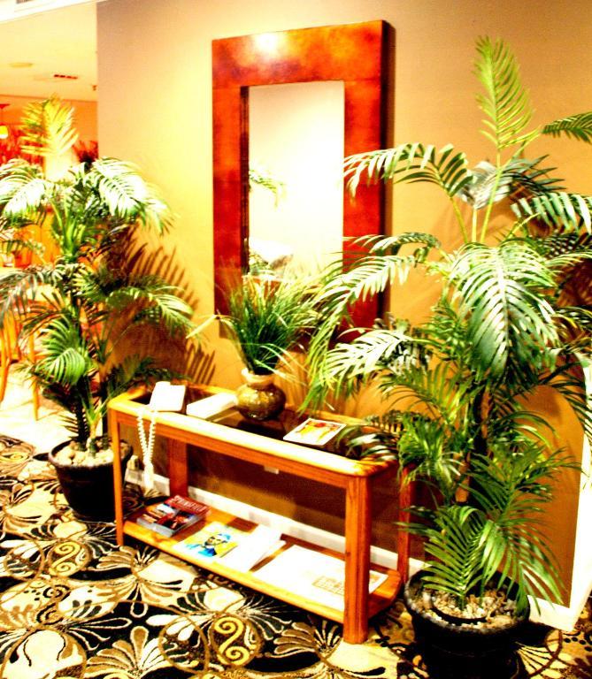 Homestyle Inn And Suites Springfield Ngoại thất bức ảnh