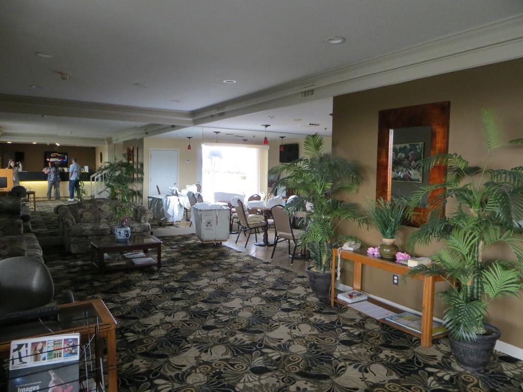 Homestyle Inn And Suites Springfield Ngoại thất bức ảnh